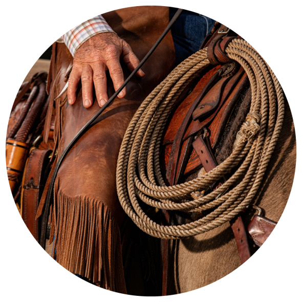 A close up image of a cowboy wearing fringed chaps while on horseback with the focus on a coiled rope attached to his saddle.